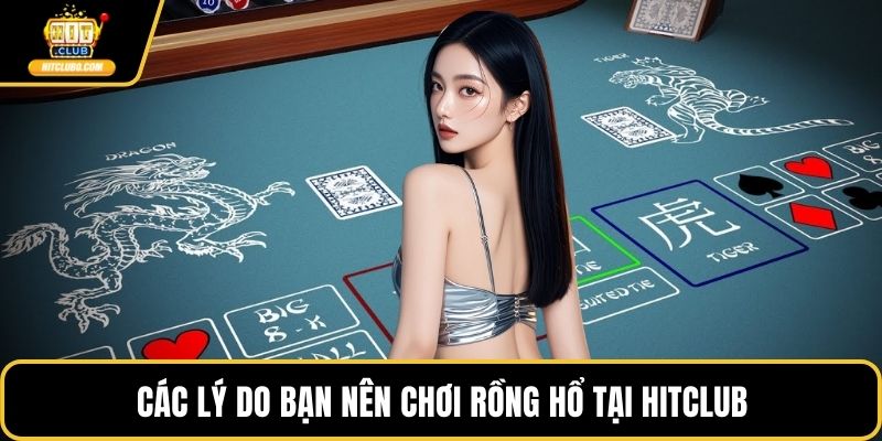 Các lý do bạn nên chơi Rồng hổ tại HITCLUB