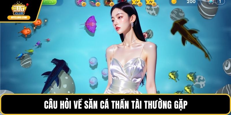 Câu hỏi về săn cá thần tài thường gặp