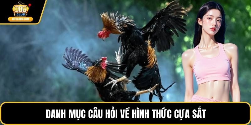 Danh mục câu hỏi về hình thức cựa sắt