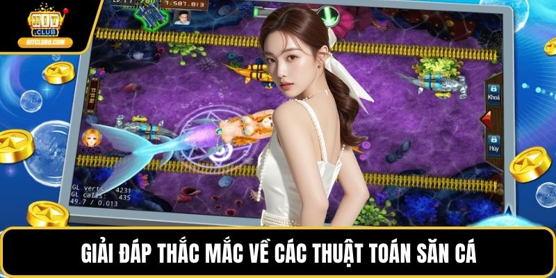 Giải đáp thắc mắc về các thuật toán săn cá