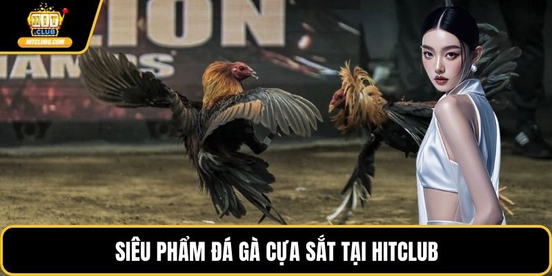 Siêu phẩm đá gà cựa sắt tại HITCLUB
