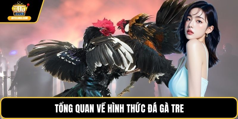 Tổng quan về hình thức đá gà tre