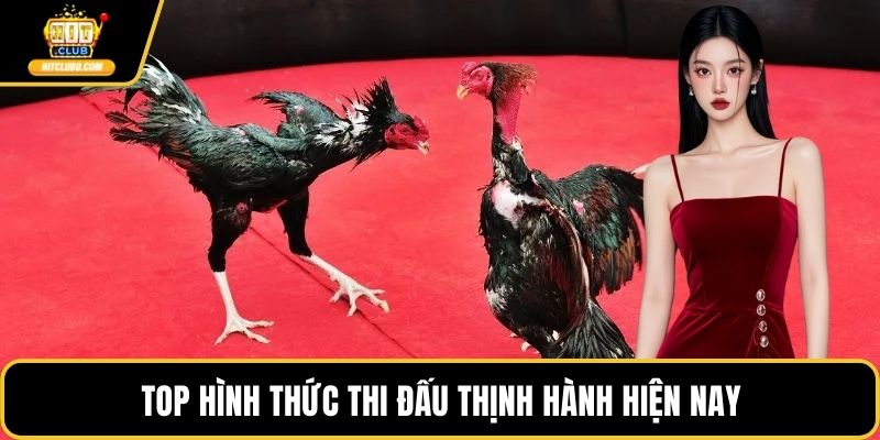 Top hình thức thi đấu thịnh hành hiện nay